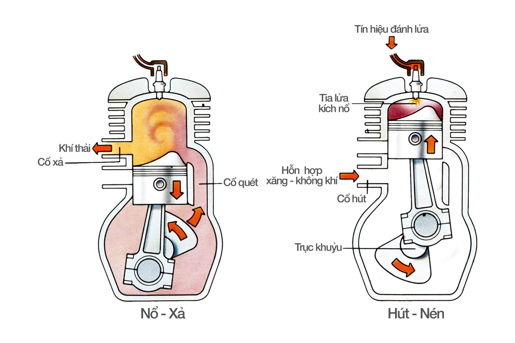 nhớt xe 2 thì và 4 thì