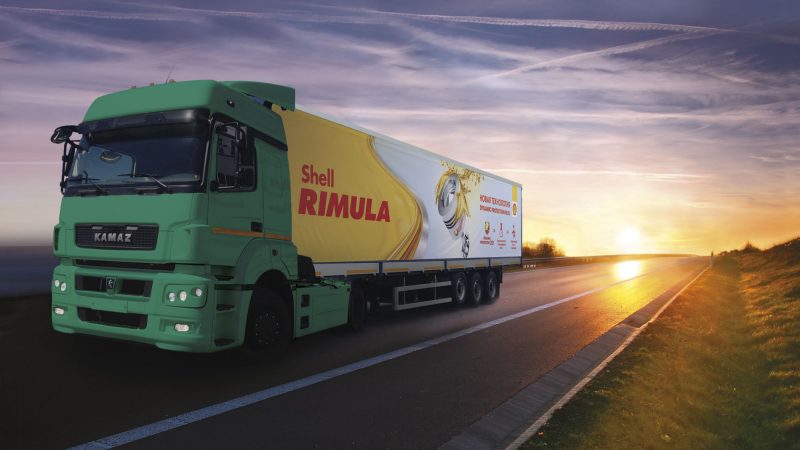 shell rimula